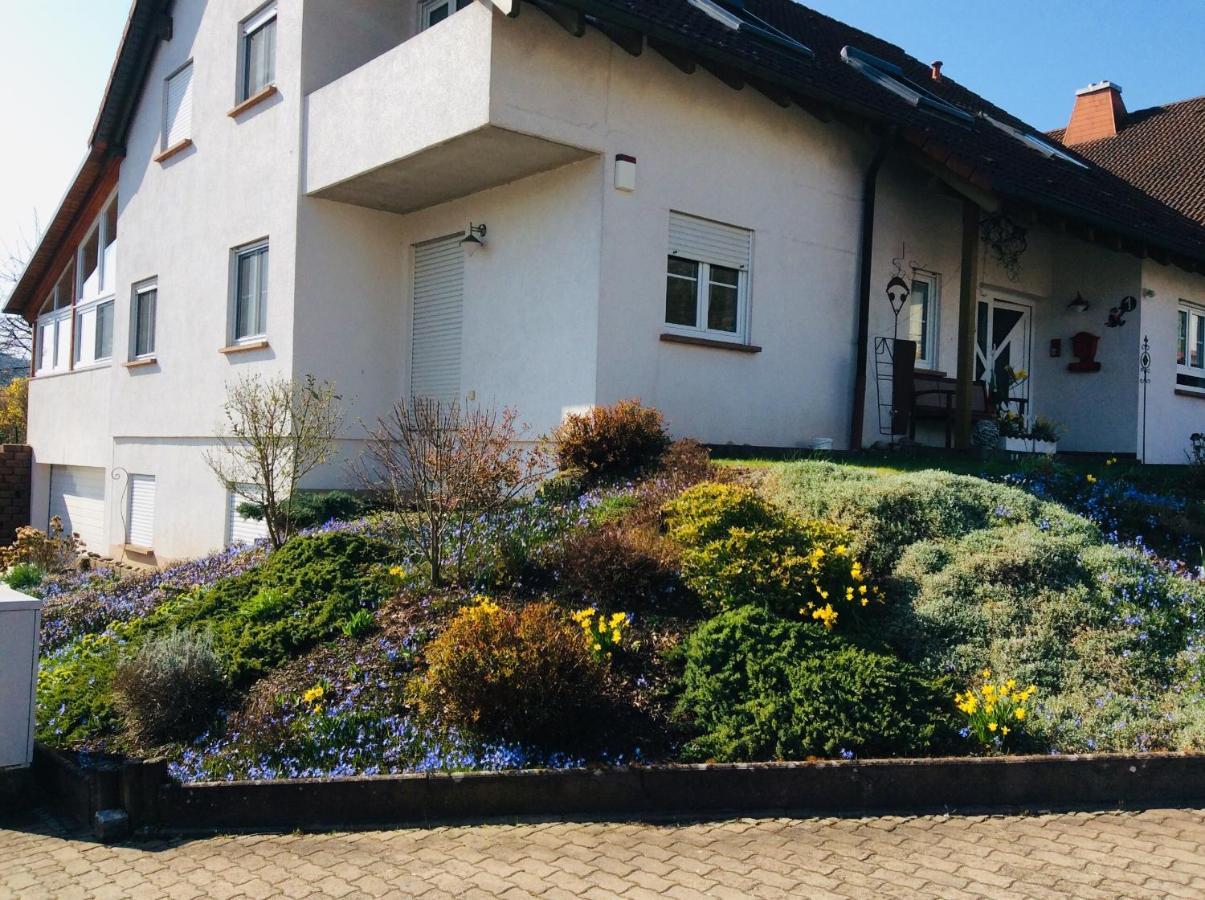 Fernblick Apartment Zweibrucken Bagian luar foto
